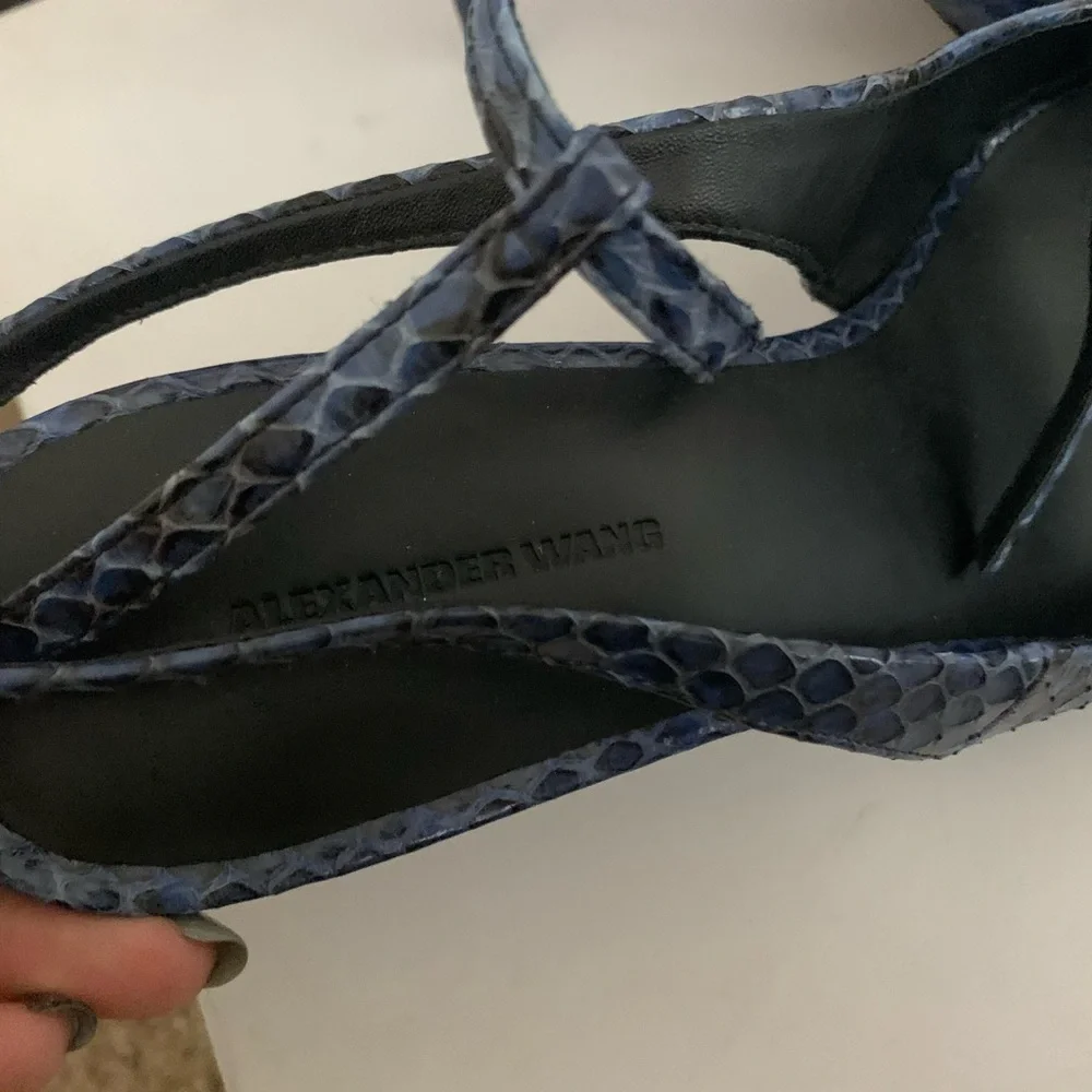 Alexander Wang Blue Heel